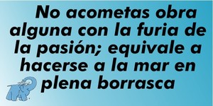 Frase del día Elefante Azul Valdepeñas