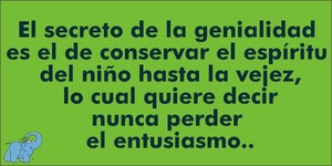 Frase del día Elefante Azul Valdepeñas