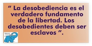 Frase del día Elefante Azul Valdepeñas