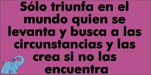 Frase del día Elefante Azul Valdepeñas