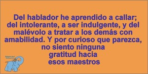 Frase del día Elefante Azul Valdepeñas