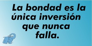Frase del día Elefante Azul Valdepeñas