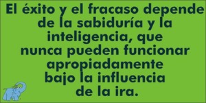 Frase del día Elefante Azul Valdepeñas