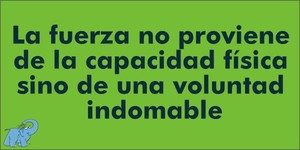 Frase del día Elefante Azul Valdepeñas