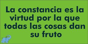 Frase del día Elefante Azul Valdepeñas