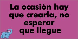 Frase del día Elefante Azul Valdepeñas