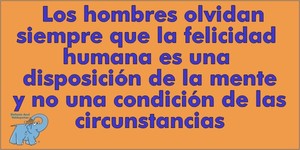 Frase del día Elefante Azul Valdepeñas