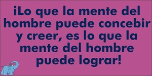 Frase del día Elefante Azul Valdepeñas