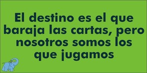 Frase del día Elefante Azul Valdepeñas