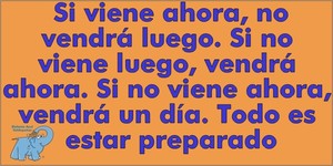 Frase del día Elefante Azul Valdepeñas