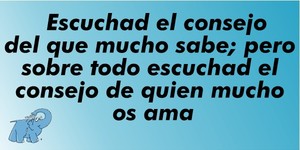 Frase del día Elefante Azul Valdepeñas