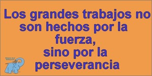 Frase del día Elefante Azul Valdepeñas