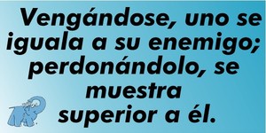 Frase del día Elefante Azul Valdepeñas