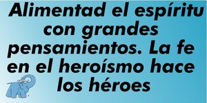 Frase del día Elefante Azul Valdepeñas