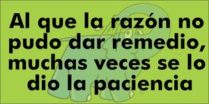 Frase del día Elefante Azul Valdepeñas