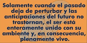 Frase del día Elefante Azul Valdepeñas
