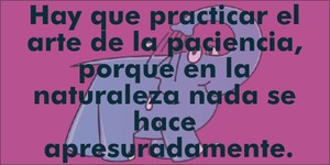 frase del día Elefante Azul Valdepeñas