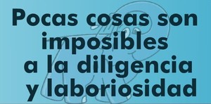 Frase del día Elefante Azul Valdepeñas