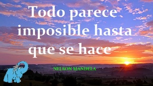 Frase del día Elefante Azul Valdepeñas