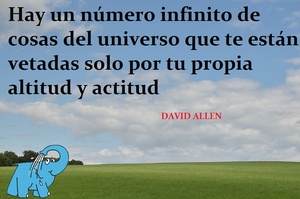 Frase del día Elefante Azul Valdepeñas