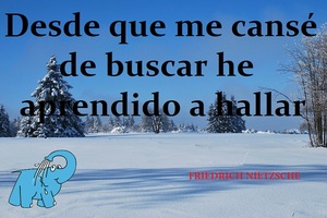 Frase del día Elefante Azul Valdepeñas