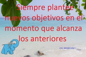 frase del día Elefante Azul Valdepeñas