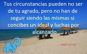 Frase del día Elefante Azul Valdepeñas