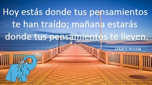 Frase del día Elefante Azul Valdepeñas