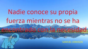 Frase del día Elefante Azul Valdepeñas
