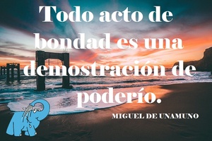 Frase del día Elefante Azul Valdepeñas