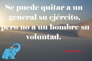 Frase del día Elefante Azul Valdepeñas