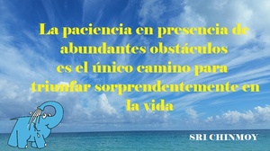 Frase del día Elefante Azul Valdepeñas