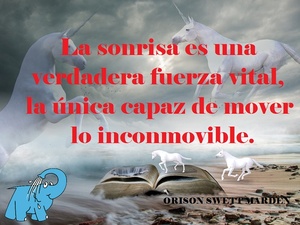 Frase del día Elefante Azul Valdepeñas
