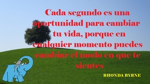 Frase del día Elefante Azul Valdepeñas