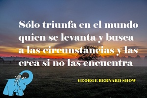 Frase del día Elefante Azul Valdepeñas