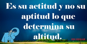 Frase del día Elefante Azul Valdepeñas