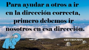 Frase del día Elefante Azul Valdepeñas