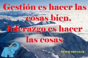Frase del día Elefante Azul Valdepeñas