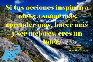 Frase del día Elefante Azul Valdepeñas