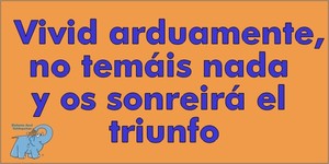 Frase del día Elefante Azul Valdepeñas