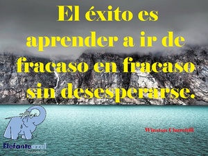 Frase del día Elefante Azul Valdepeñas