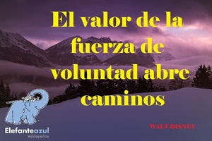 Frase del día Elefante Azul Valdepeñas