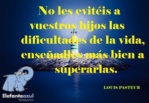 Frase del día Elefante Azul Valdepeñas