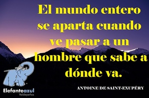 Frase del día Elefante Azul Valdepeñas