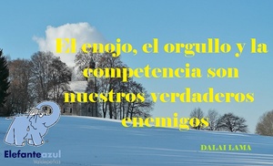 Frase del día Elefante Azul Valdepeñas