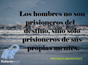 Frase del hoy Elefante Azul Valdepeñas