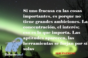 Frase del día Elefante Azul Valdepeñas