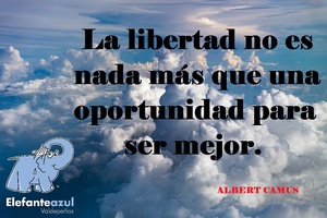 Frase del día Elefante Azul Valdepeñas
