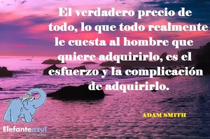 Frase del día Elefante Azul Valdepeñas