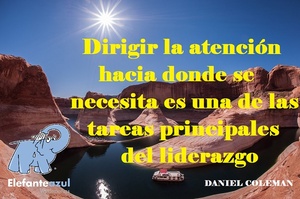Frase del día Elefante Azul Valdepeñas